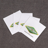Clothing Printed Label Washing Label Logo Cloth Label